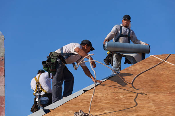 Best Residential Roofing Contractor  in La Crosse, WI