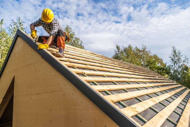 Best Roof Gutter Cleaning  in La Crosse, WI