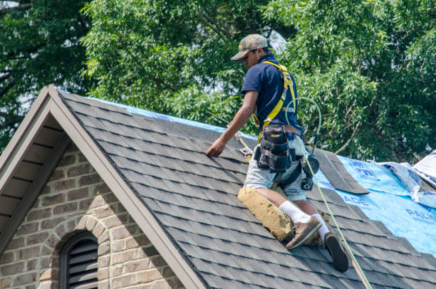 Best New Roof Installation  in La Crosse, WI